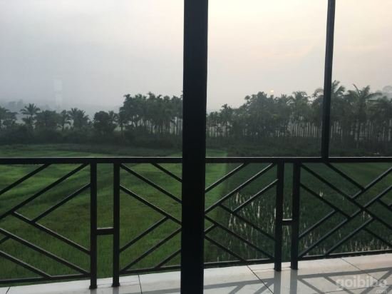 the paddy field inn hostel