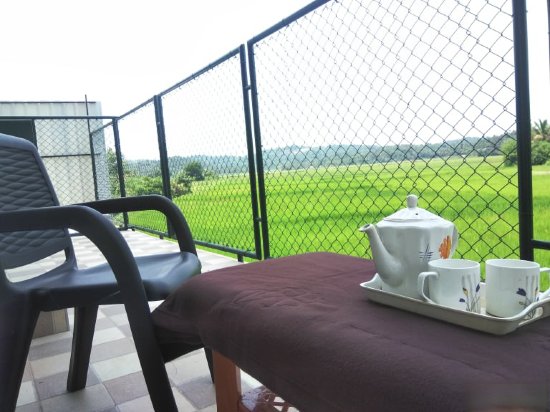 the paddy field inn hostel