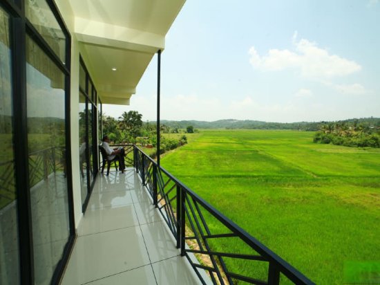 the paddy field inn hostel