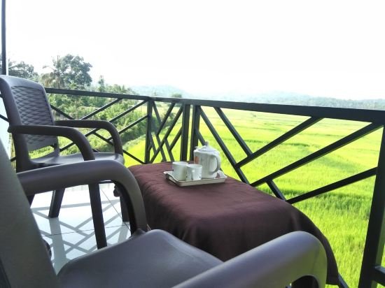 the paddy field inn hostel