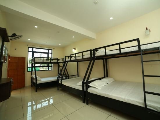 the paddy field inn hostel