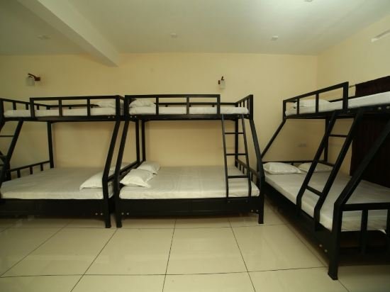 the paddy field inn hostel