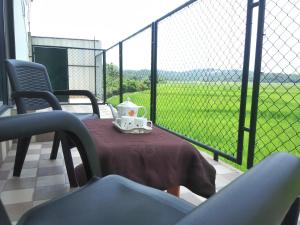the paddy field inn hostel
