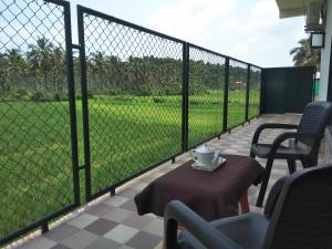 the paddy field inn hostel