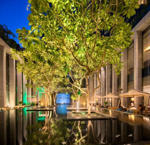 anantara downtown dubai hotel