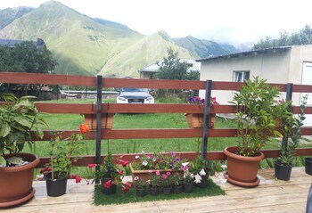 guest house elguja qushashvili