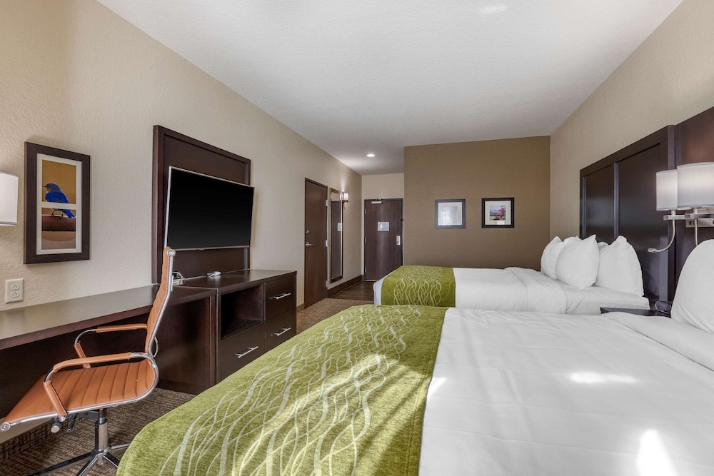 comfort inn and suites cedar rapids cid eastern iowa airport