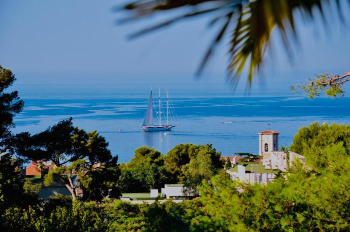 cassis