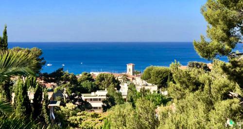 cassis