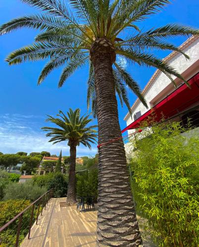 cassis