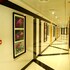 tulip al barsha hotel apartment