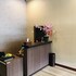 great star premium homestay