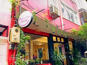 hue pink lotus hotel