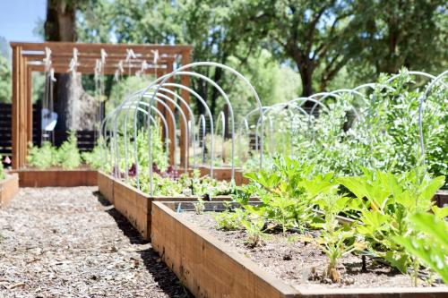 mandala springs wellness retreat center