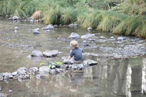 mandala springs wellness retreat center