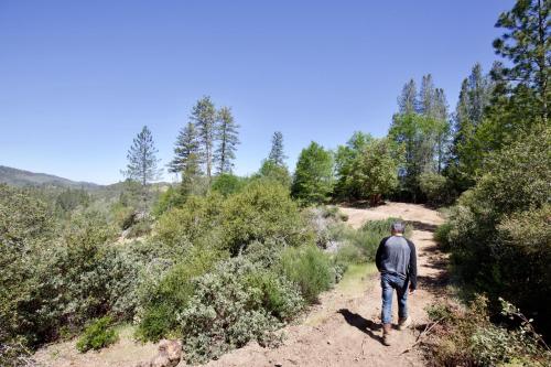 mandala springs wellness retreat center