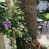 1810 emerson house bed and breakfast adults only