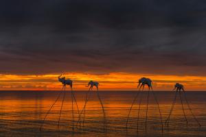 sunset sanato resort and villas