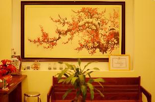 panda garden