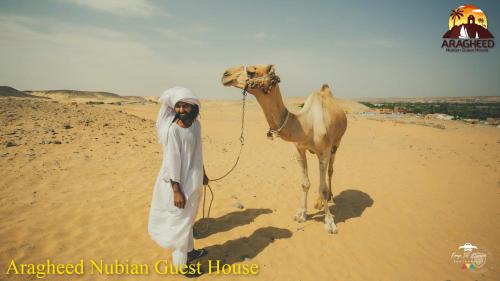 aswan