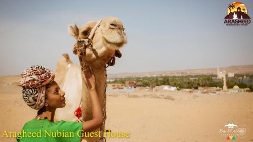 aswan