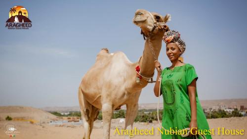 aswan