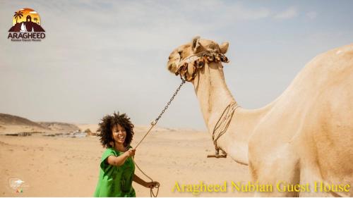 aswan