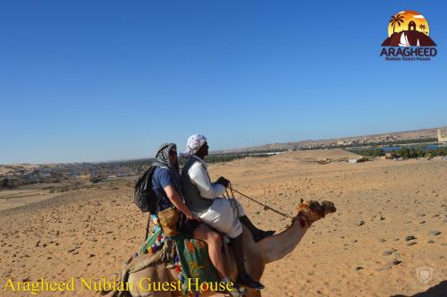 aswan