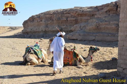 aswan