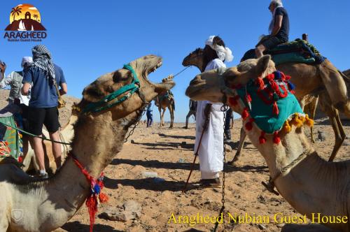 aswan