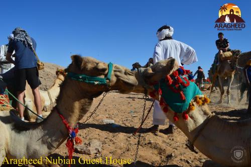 aswan