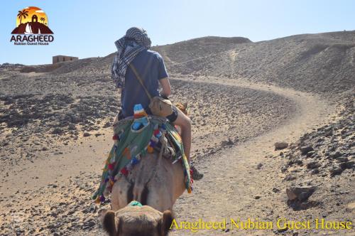 aswan