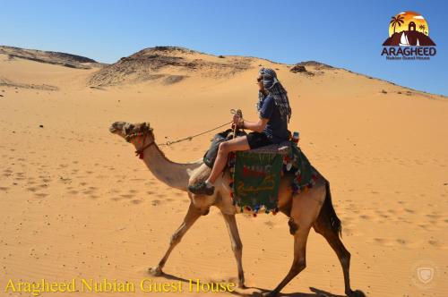 aswan
