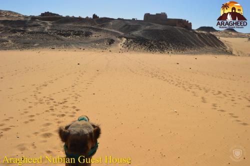 aswan