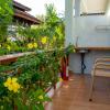 areca garden bungalow