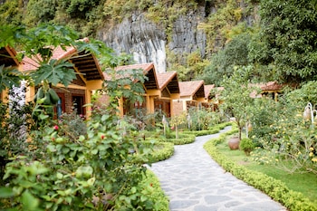 hoa lu