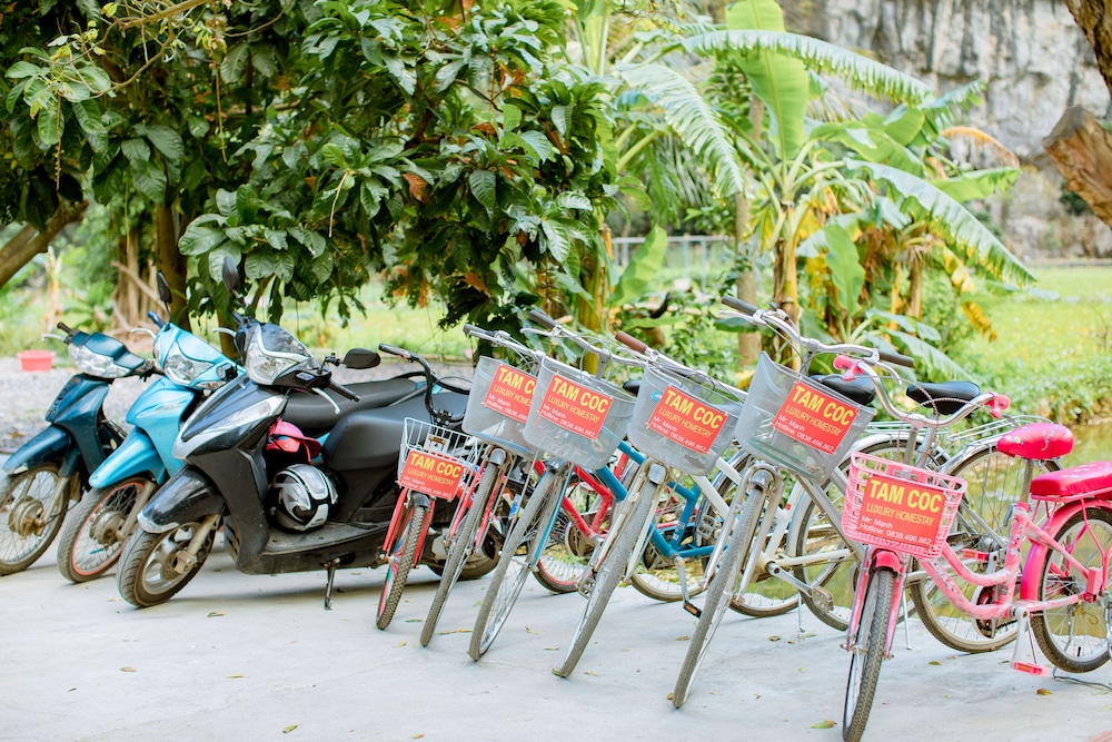 hoa lu