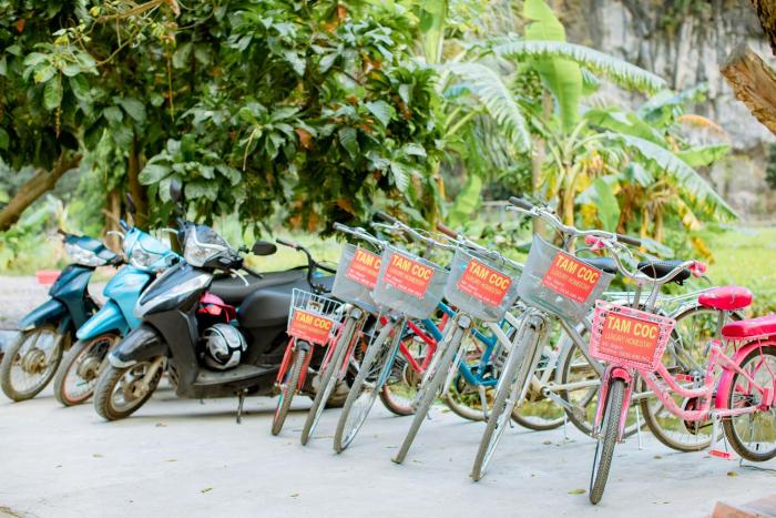 tam coc luxury homestay