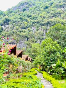 tam coc luxury homestay