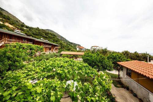 guest house luiza