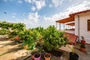 guest house luiza