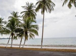 paradise agua leve residential