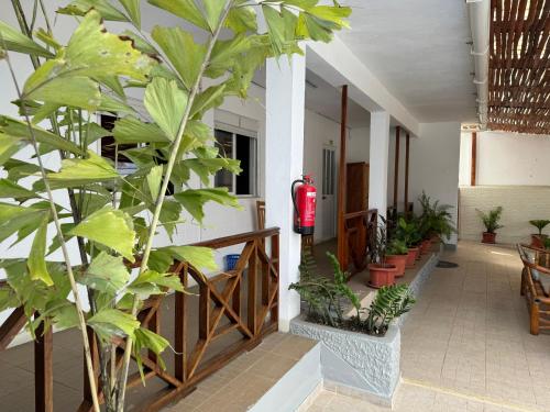 paradise agua leve residential