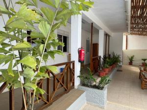 paradise agua leve residential