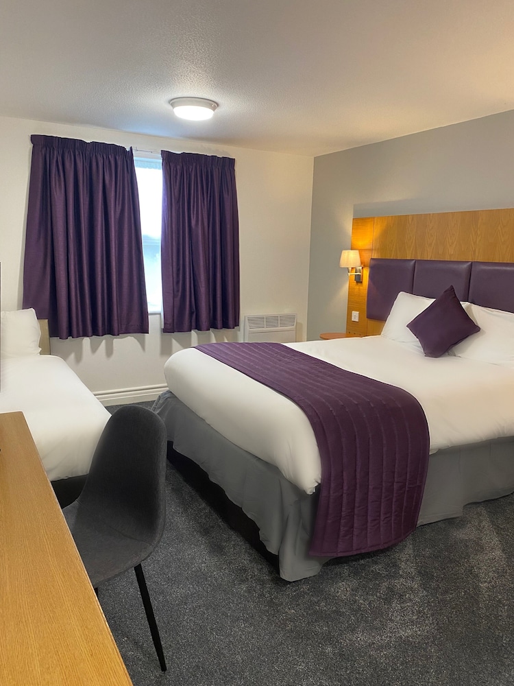 purple roomz