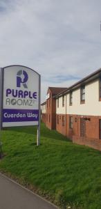 purple roomz