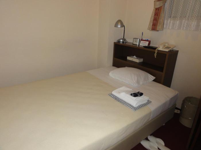 hotel yanagibasi hostel