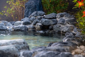 grandvrio hotel nara wakura