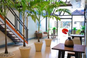 reddoorz plus as fortuna cebu