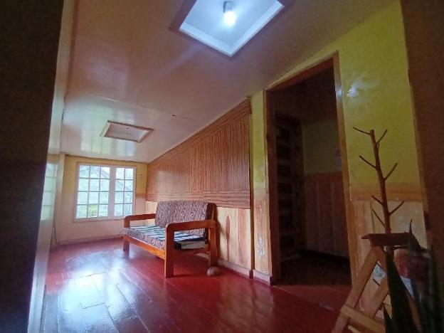 grandmas yellow house